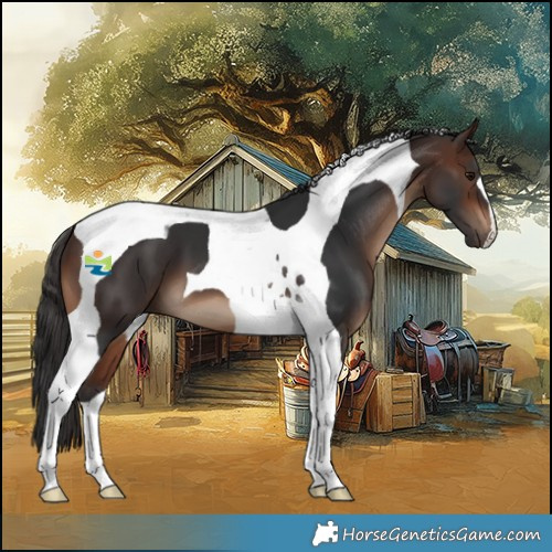 Horse Color:Brown Tobiano 