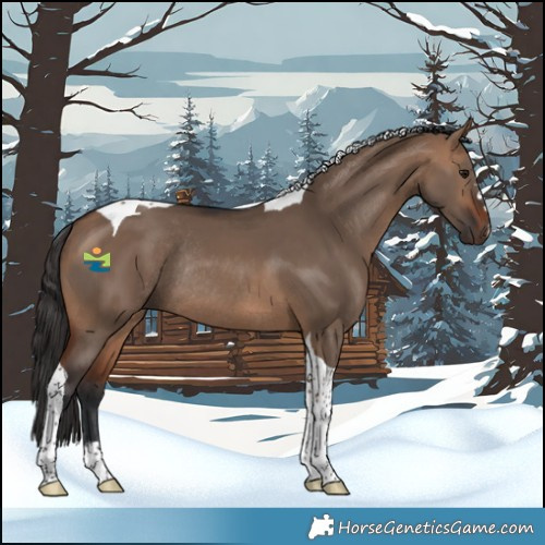 Horse Color:Bay Dun Tobiano Rabicano