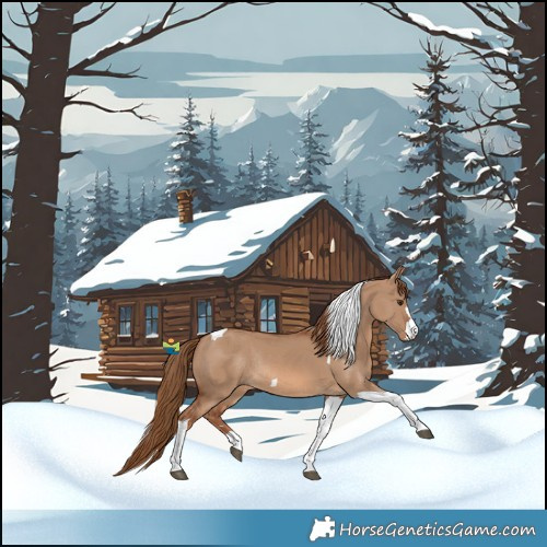 Horse Color:Red Dun Tobiano Rabicano 