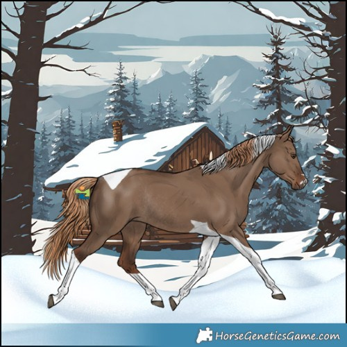 Horse Color:Liver Red Dun Tobiano Rabicano