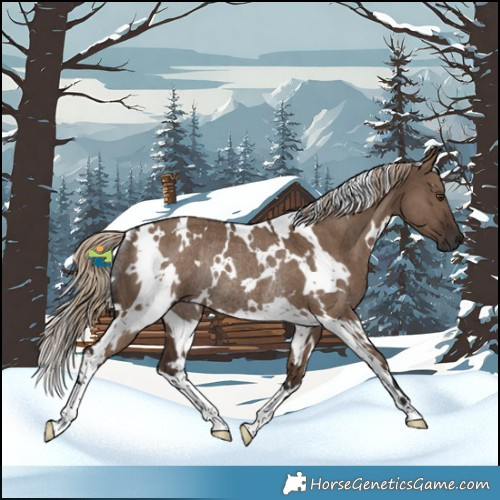 Horse Color:White Spotted Liver Red Dun Rabicano 