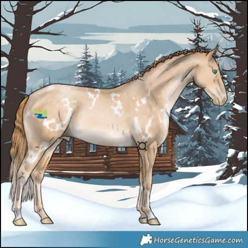 Horse Color:White Spotted Bay Snowdrop Pearl Rabicano 