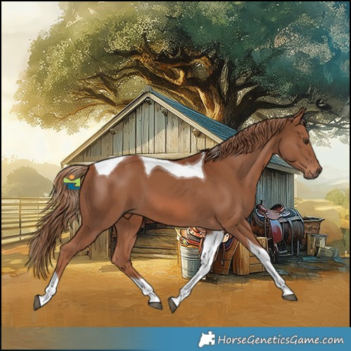 Horse Color:Chestnut Tobiano 