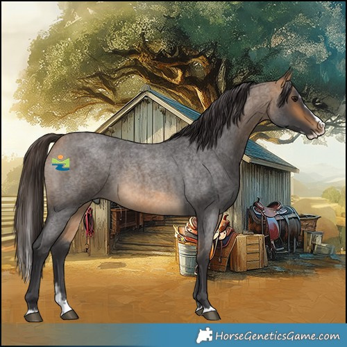 Horse Color:Buckskin Roan Splash Rabicano 