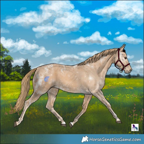 Horse Color:Chestnut Ice 