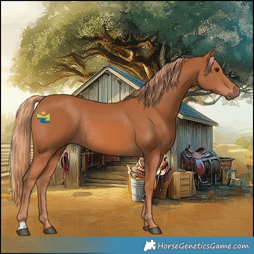 Horse Color:Chestnut Rabicano 