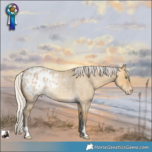 Horse Color:Silver Sable Cream Champagne Roan Dun Appaloosa Rabicano