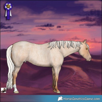 Horse Color:Silver Classic Champagne Roan 