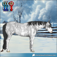 Horse Color:Blue Roan Sabino 