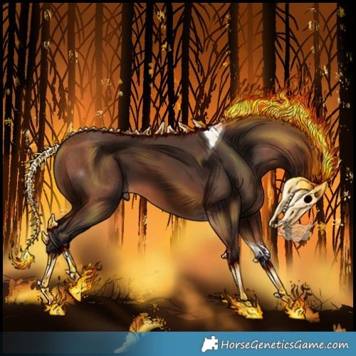 Horse Color:Bay Tobiano