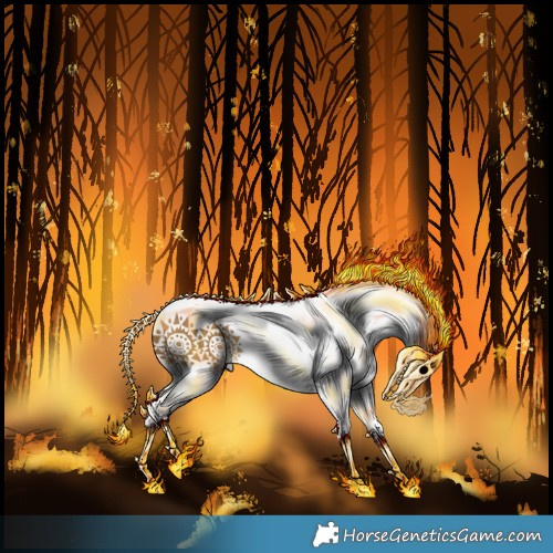 Horse Color:White Spotted Buckskin