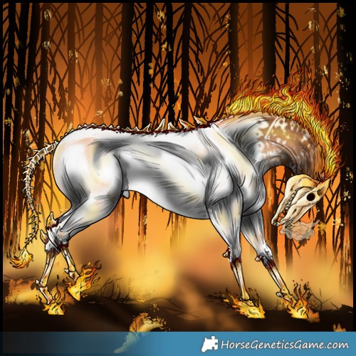Horse Color:White Spotted Bay Onyx 