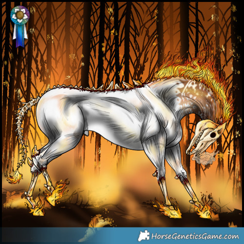Horse Color:White Spotted Bay Onyx
