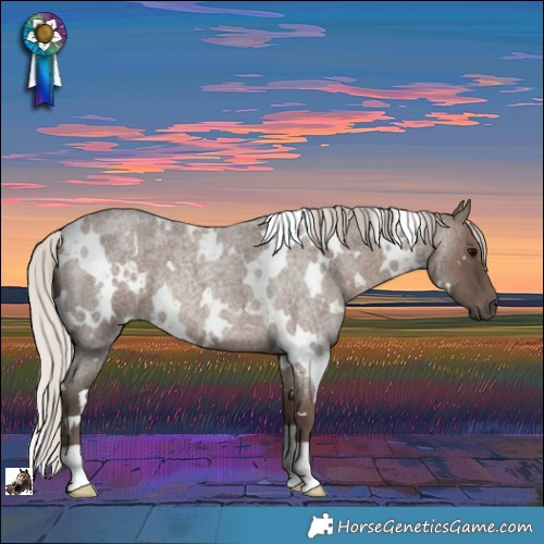 Horse Color:White Spotted Silver Blue Roan