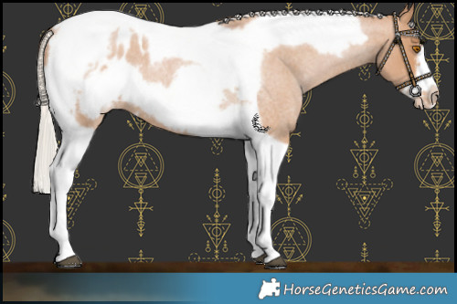 Horse Color:Silver Blue Roan Pearl Tobiano Frame Blanket 