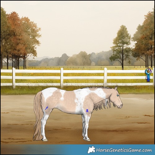 Horse Color:Perlino Tobiano 
