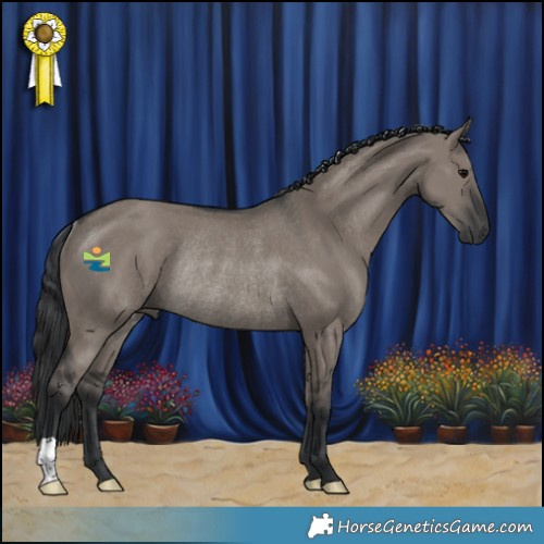Horse Color:Grullo Rabicano