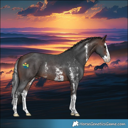 Horse Color:Brown Sabino Splash Rabicano 