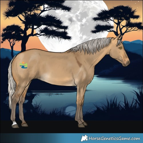 Horse Color:Silver Buckskin Dun