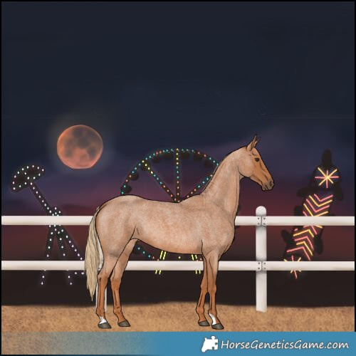 Horse Color:Red Roan 
