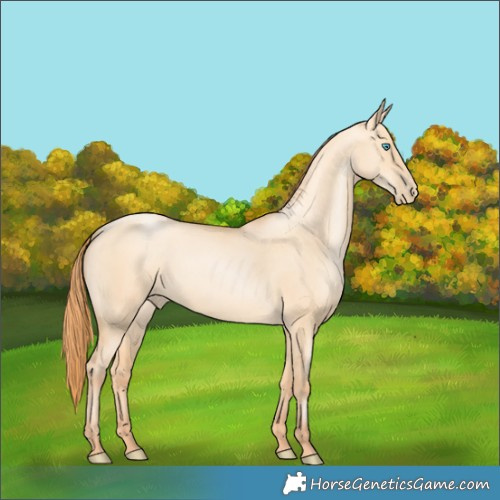 Horse Color:Amber Champagne Pearl Dun