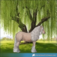 Horse Color:Silver Brown Dun Tobiano 