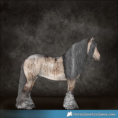 Horse Color:Powder White Brown Dun Merle Tobiano Brindle