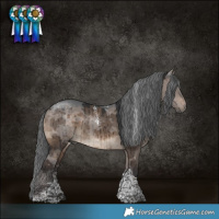 Horse Color:Powder White Brown Dun Merle Tobiano Brindle 