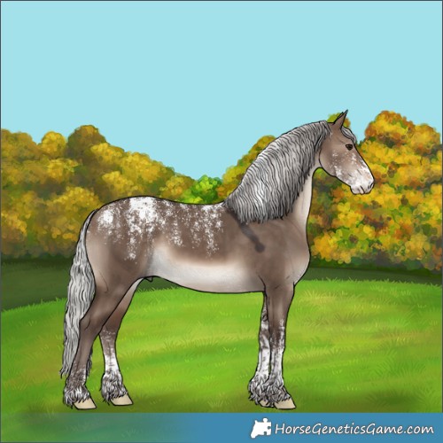 Horse Color:Powder White Silver Brown Dun