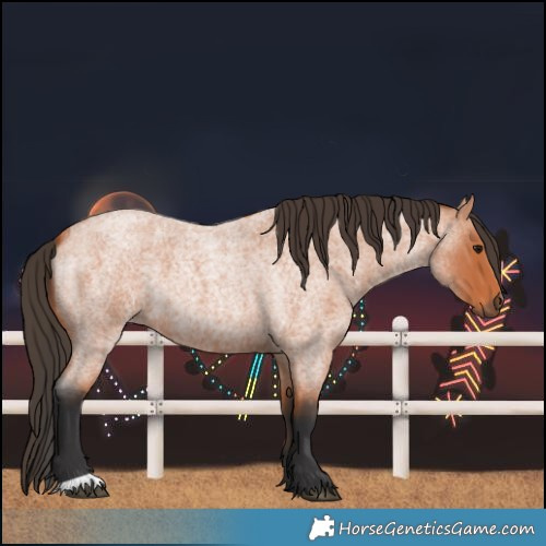 Horse Color:Bay Roan