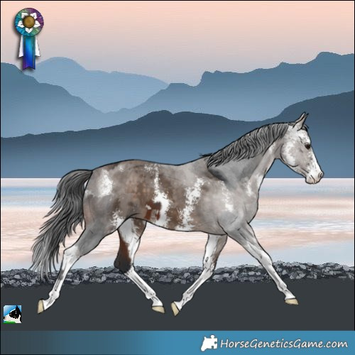 Horse Color:Brown  and Brown Dun Merle Sabino 
