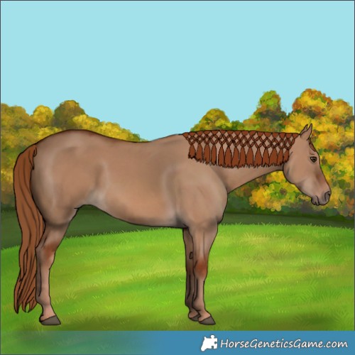 Horse Color:Red Dun