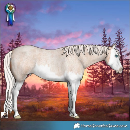 Horse Color:Silver Classic Champagne Roan Splash