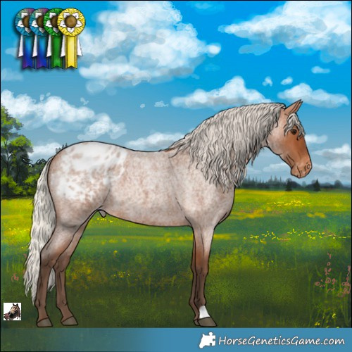 Horse Color:Silver Bay Roan Varnish 