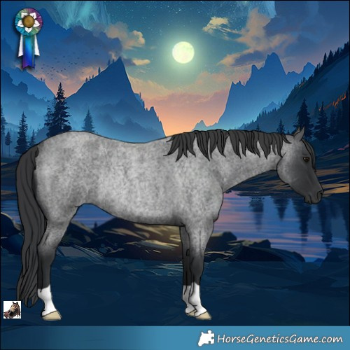 Horse Color:Blue Roan Rabicano 