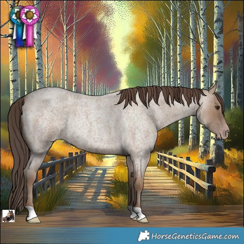 Horse Color:Classic Champagne Roan Rabicano