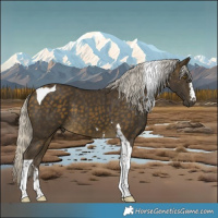 Horse Color:Silver Buckskin  and Silver Buckskin Tobiano 