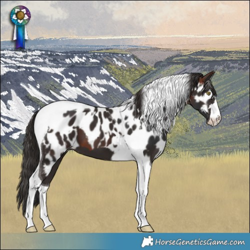 Horse Color:Bay Tobiano Skewed LP Spotted  and Liver Chestnut Tobiano Skewed LP Spotted 