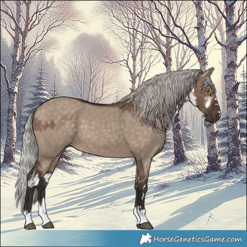 Horse Color:White Spotted Silver Brown Dun and Silver Brown Dun