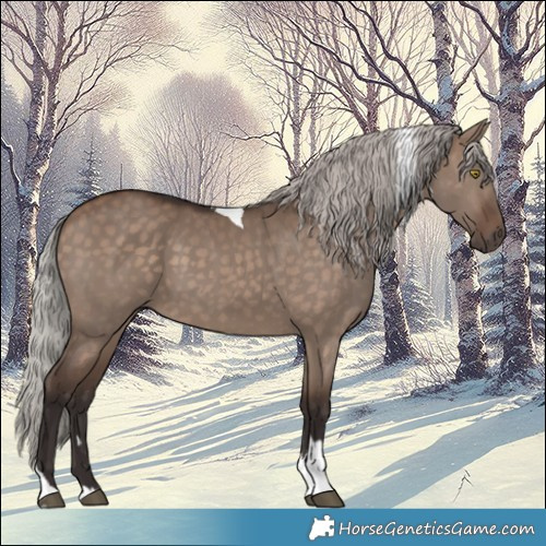 Horse Color:Silver Brown Dun Tobiano 