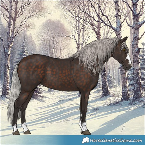 Horse Color:Silver Brown