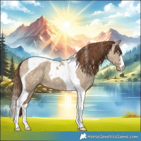 Horse Color:Classic Champagne Dun Tobiano Snowflake Varnish