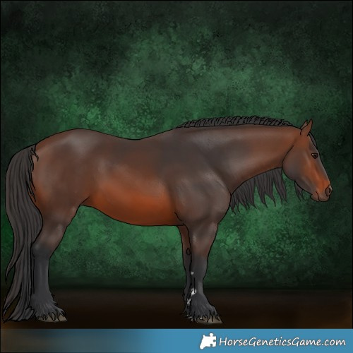 Horse Color:Brown 
