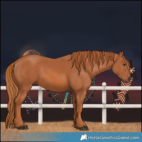 Horse Color:Chestnut 