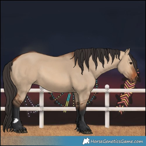 Horse Color:Bay Dun