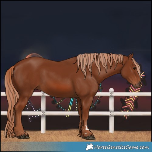 Horse Color:Chestnut 