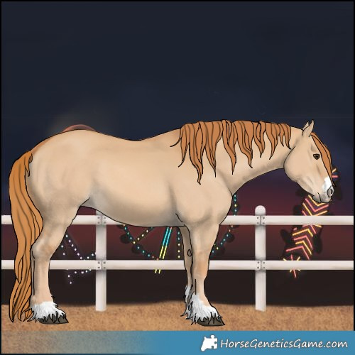 Horse Color:Red Dun 