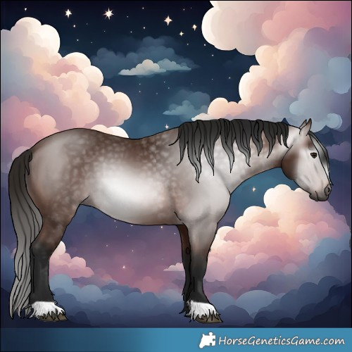 Horse Color:Gray Bay 