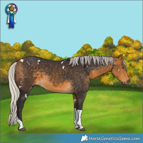 Horse Color:White Spotted Silver Buckskin Tobiano 