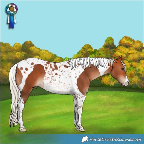 Horse Color:Silver Bay Tobiano